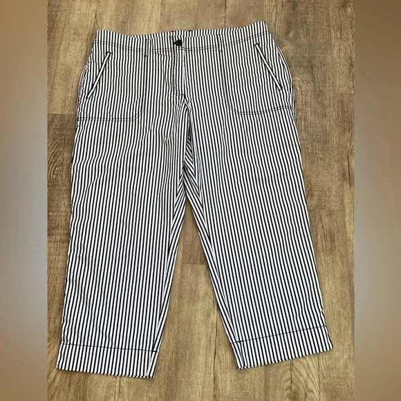 Chico’s Ankle Length Pants So Cute 🥰 Size 16 - Picture 6 of 14